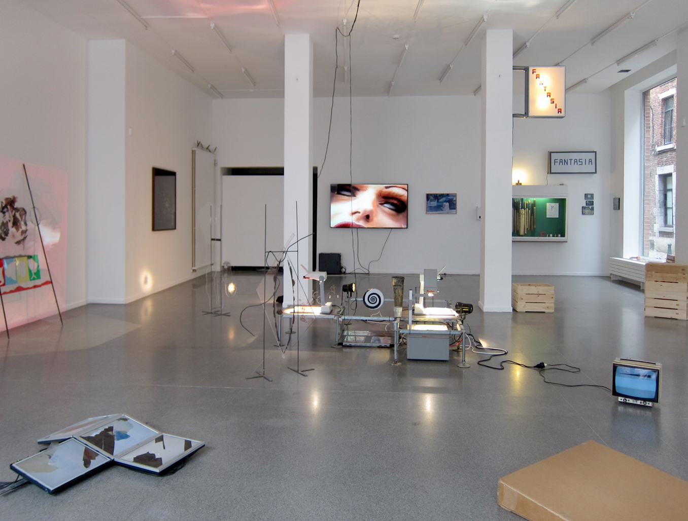 Les papillons de mai